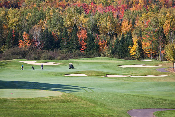 Golf Spring Autumn 3,000+ Golfer Trees Stock Photos, Pictures & Royalty-Free Images - iStock