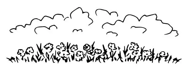 Vector illustration of Hand-drawn simple vector black outline drawing. Border of wildflowers, chamomile, herbs on a white background. Clouds in the sky. Meadow plants, nature. Floral banner.