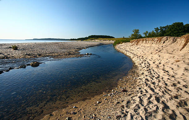istock Nature in south Sweden 136338994