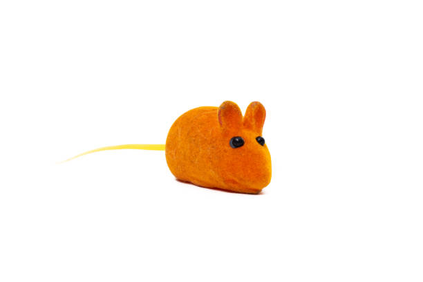 istock Mouse toy for cat isolated on white background 1363395423
