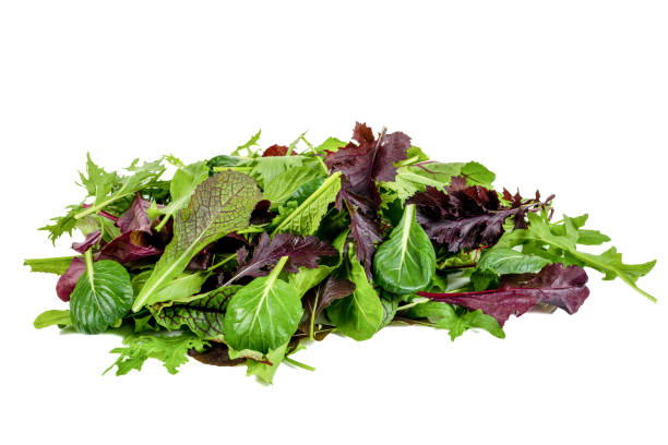 Mixed fresh mediterranean greens on isolated white background. Mediterranean salad ingredients stock photo