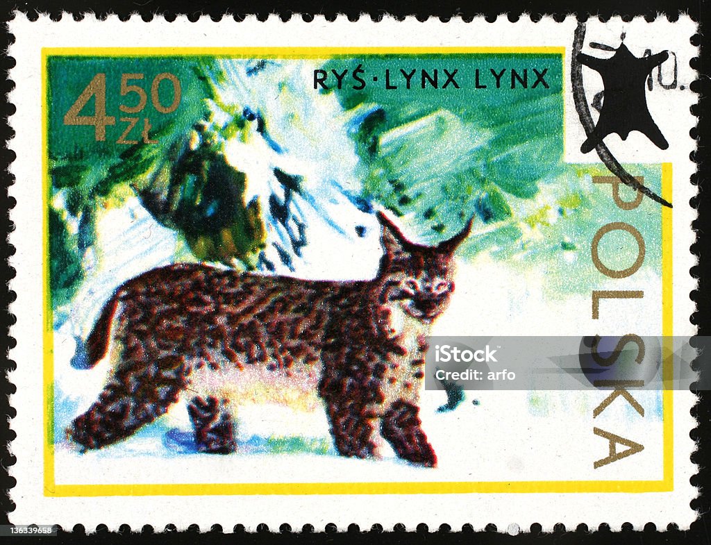 Lynx - polish postage stamp Animal Stock Photo