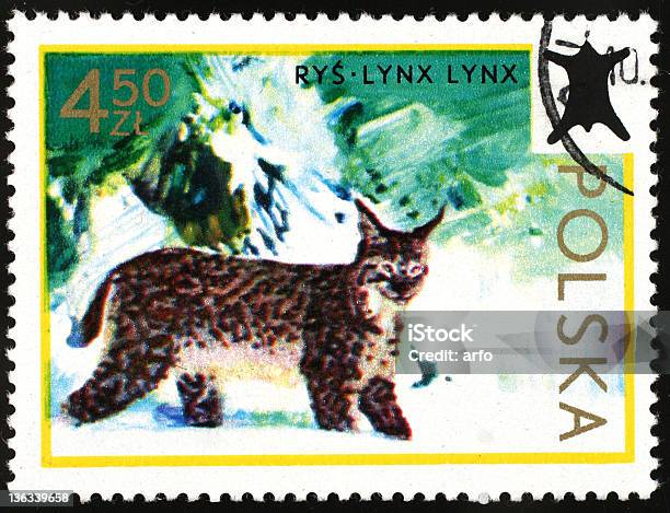 Lynx Polish Postage Stamp Stock Photo - Download Image Now - Animal, Horizontal, Lynx