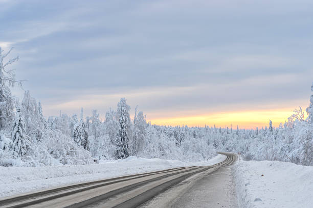 istock Winter road in a white snowy forest, winter landscape 1363399576