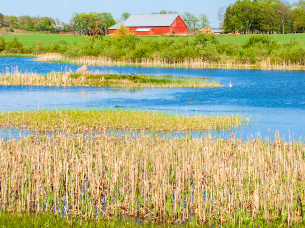 istock Lake cultivated landscape with a red barn 1363401178