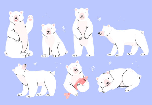 400+ Standing Polar Bear Animal Cartoon Character Vector Illustration  Ilustraciones de Stock, gráficos vectoriales libres de derechos y clip art  - iStock