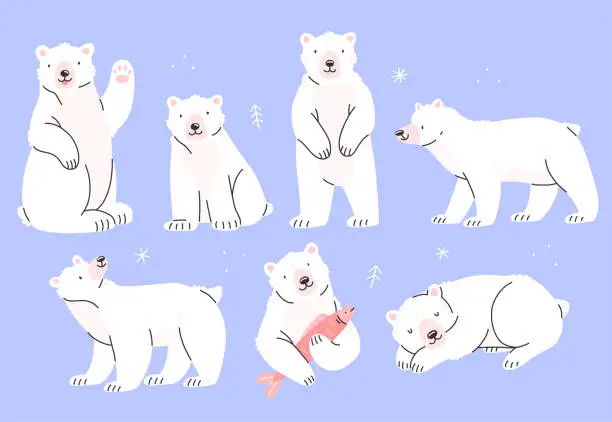 Vector illustration of Set of polar bears characters in cute cartoon style. Vector isolated illustration.