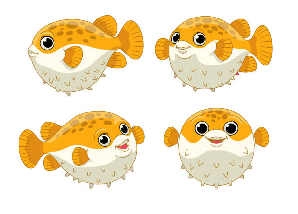 illustrations, cliparts, dessins animés et icônes de ensemble de dessins animés de poissons-globes mignons - poisson porc épic