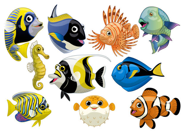 ilustrações, clipart, desenhos animados e ícones de conjunto de peixes de coral de desenho animado - tropical fish clown fish isolated animal