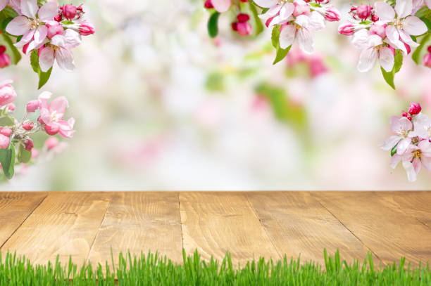 istock Spring background with blooming pink apple branches border and empty wooden table top. 1363408878