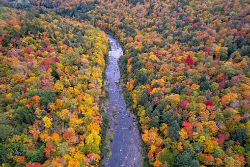 Aerial Autumn Picture From Vermont
