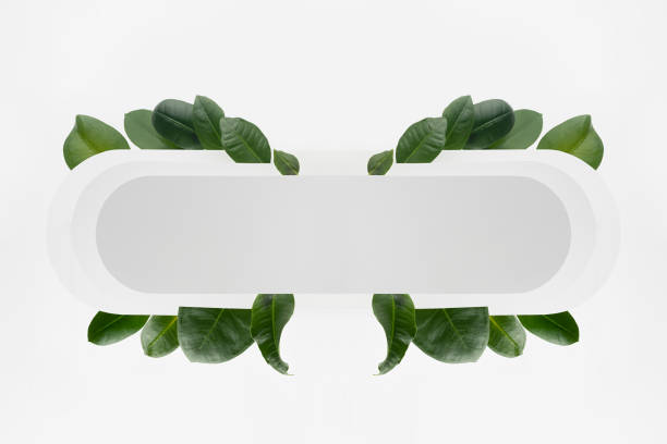 istock Fresh summer holiday abstract symmetric figure of white rounded horizontal rectangle stripe with tropical green leaves, blank frame for design, text, branding, advertising in eco simple modern style. 1363410515