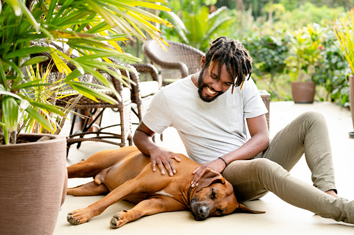 Smiling young man petting his cute pet dog while sitting on backyard floor at home