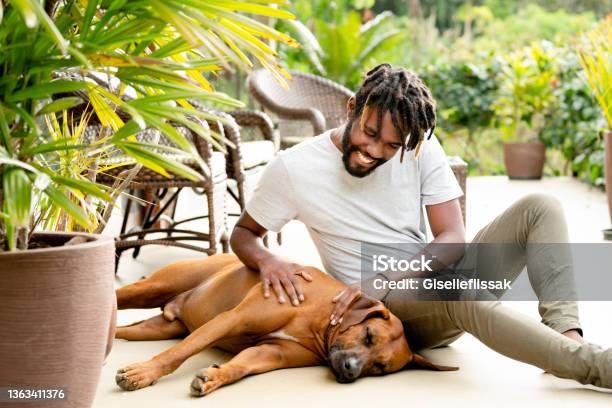 Smiling Young Man Petting His Cute Pet Dog At Home Stock Photo - Download Image Now - Back Yard, Dog, Rescued Dog