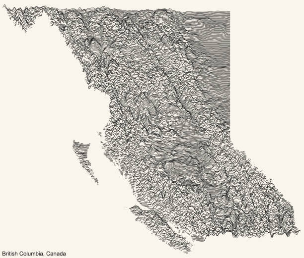 Topographic relief map of BRITISH COLUMBIA, CANADA Topographic relief map of the Canadian province of BRITISH COLUMBIA, CANADA with black contour lines on beige background british columbia map cartography canada stock illustrations
