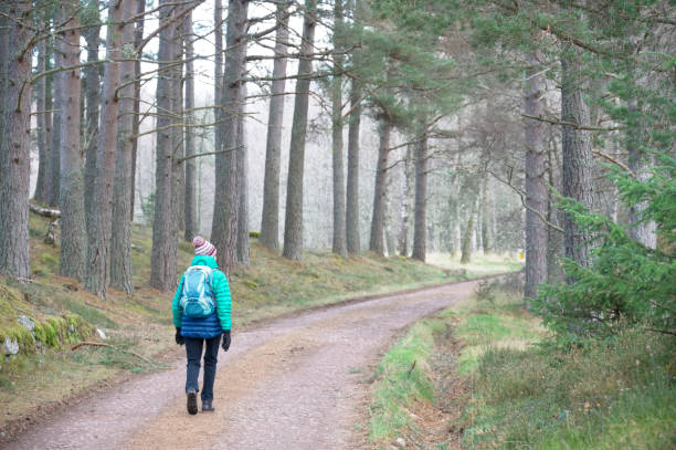 istock Single elderly woman walking alone in forest during lockdown for good mental and physical health 1363416146