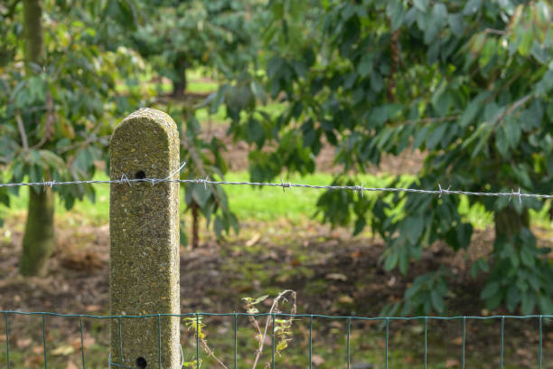 Additional barbed wire installed above the main fence