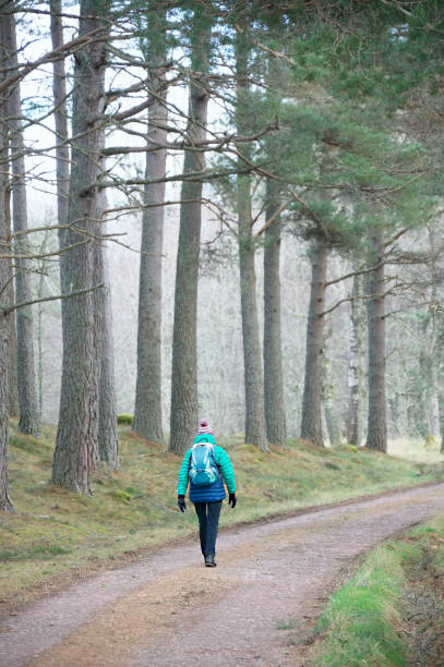 istock Single elderly woman walking alone in forest during lockdown for good mental and physical health 1363416214