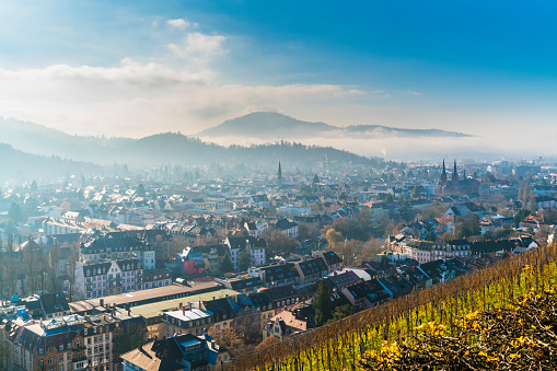 Germany, Freiburg im Breisgau cityscape houses in valley between black forest mountains in foggy sunny atmosphere