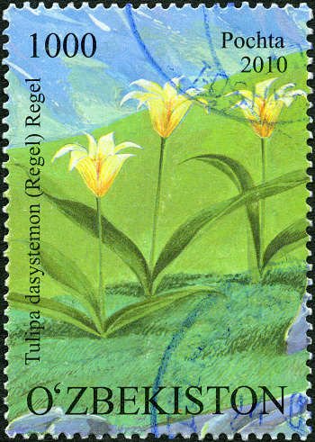 Chinese Stamp : Ring-necked Pheasant ​Illustratio