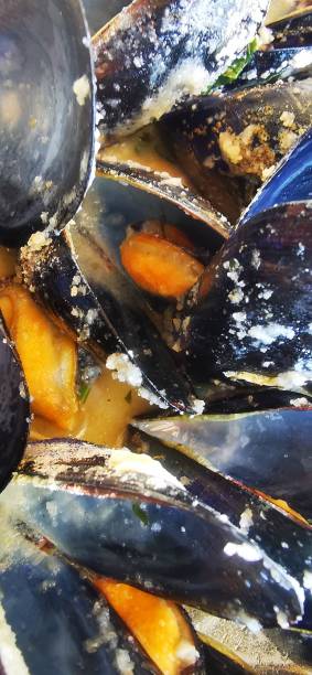 istock Mussels in butter with garlic 1363420160