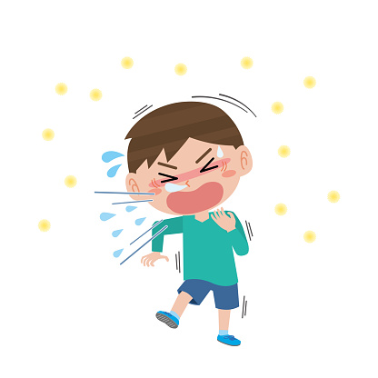 A boy sneezing with hay fever