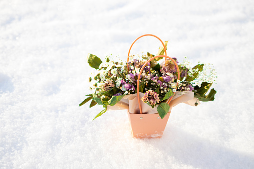 A bouquet of flabby pink flowers lies in the snow. Close up of spoiled bouquet lying on virgin white pure just fallen snow.