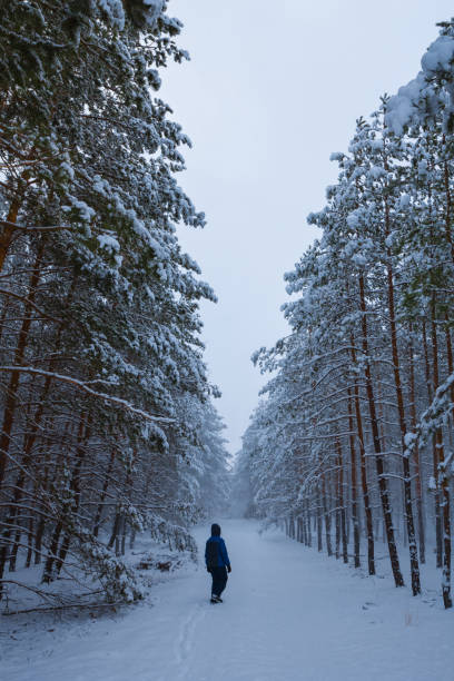 istock hiker in a winter snow 1363422383