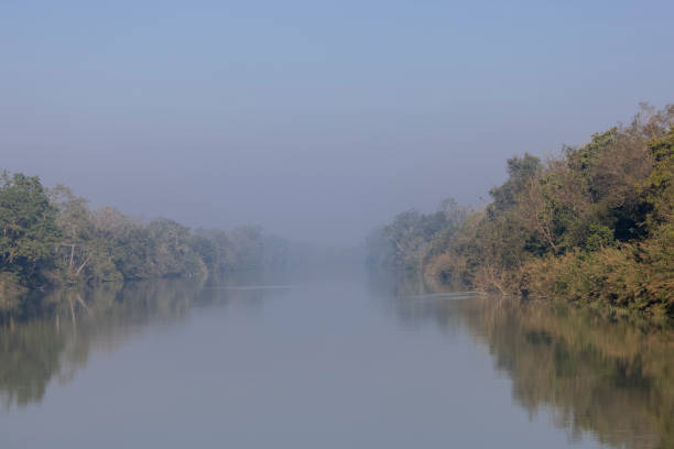 Landscape of indian forest with natural beauty.