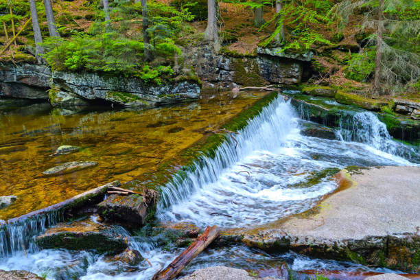 istock A small river flows through the forest in the mountains. Pure clear cold water. Scenic view. Melting snow in the mountains. 1363427099