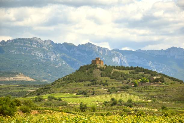 Castle on top of a hill and the Sierra de Cantabria in the background.