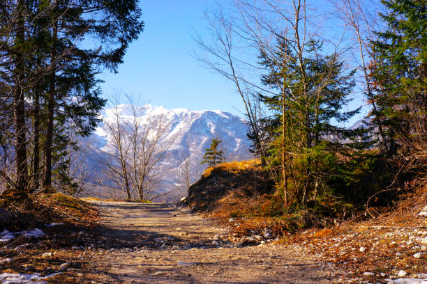 Hiking path with a snowy mountain view of Slovenian Alps.