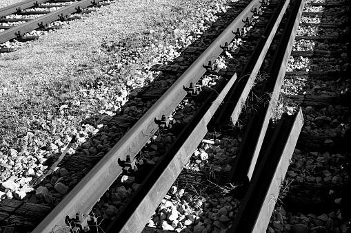 Two sets of railroad tracks run straight and parallel to a vanishing point on the horizon with green trees along side.