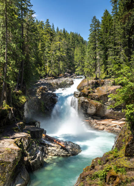 la cascade de silver falls dans le parc national du mont rainier, wahsington, états-unis - moss side photos et images de collection
