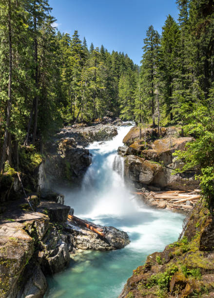 the silver falls waterfall in the mount rainier national park, wahsington usa - ohanapecosh river imagens e fotografias de stock