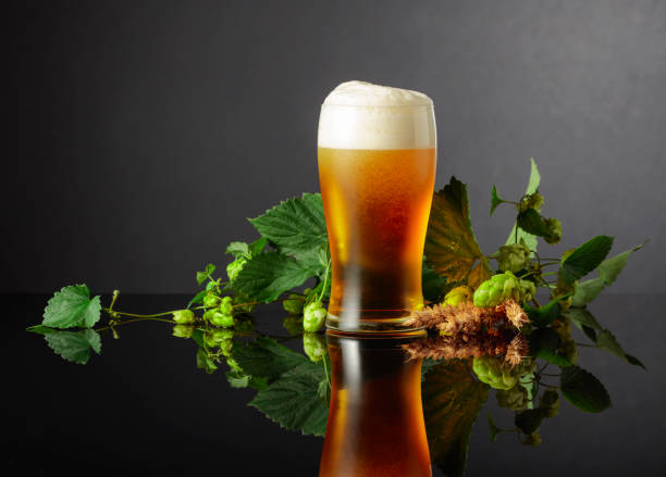 istock Beer, hops, and barley on a black background. 1363439580