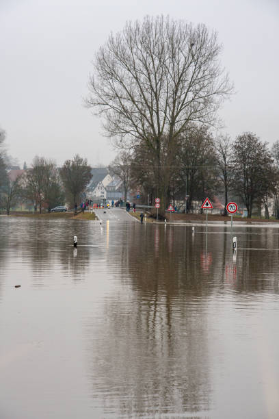 Flooding of the Danube near Daugendorf near Riedlingen Flooding of the Danube after many rain in Blackwood forest riedlingen stock pictures, royalty-free photos & images