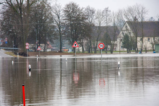 Flooding of the Danube near Daugendorf near Riedlingen Flooding of the Danube after many rain in Blackwood forest riedlingen stock pictures, royalty-free photos & images