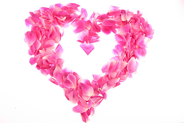 istock heart frame of pink rose petals 136344379