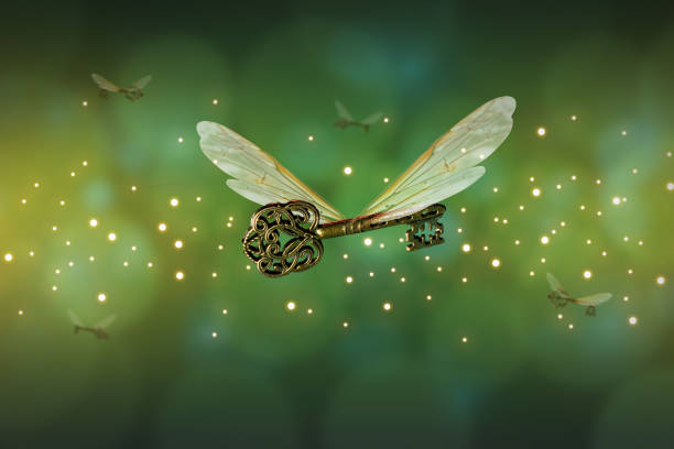 magische fliegende schlüsselbedeutung mit libellenflügeln - gegenstand für magie und zauberei stock-fotos und bilder