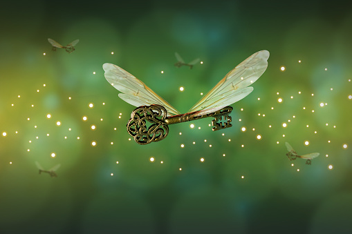 clave voladora mágica significado con alas de libélula photo
