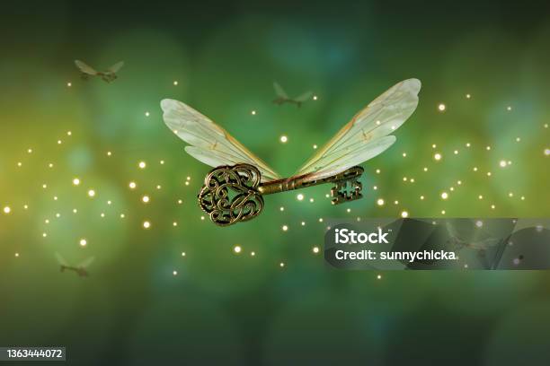 Magical Flying Key Meaning With Dragonfly Wings Stock Photo - Download Image Now - Paranormal, Key, Fantasy