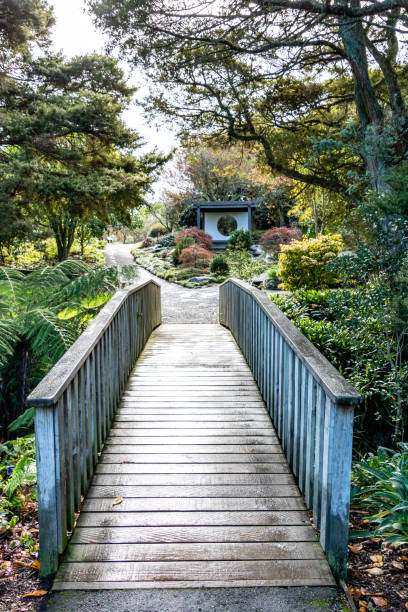 vistas a un paseo por los jardines. jardín botánico, auckland, nueva zelanda - auckland region fotografías e imágenes de stock