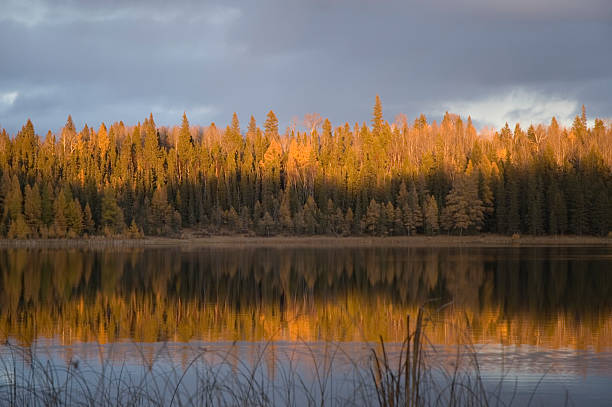 istock Sunset on Grayling Lake, Riding Mountain National Park 136344610