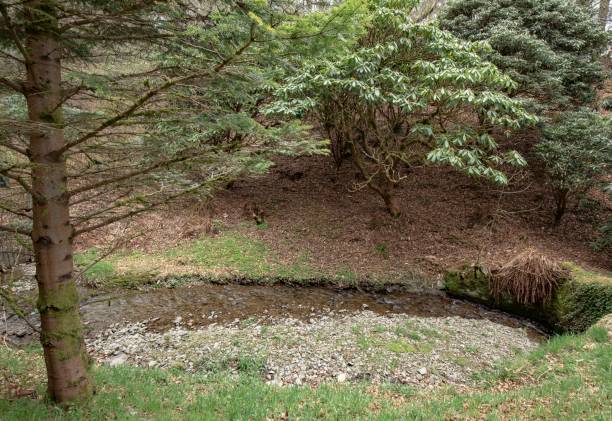 istock Scottish Country Stream. 1363446303