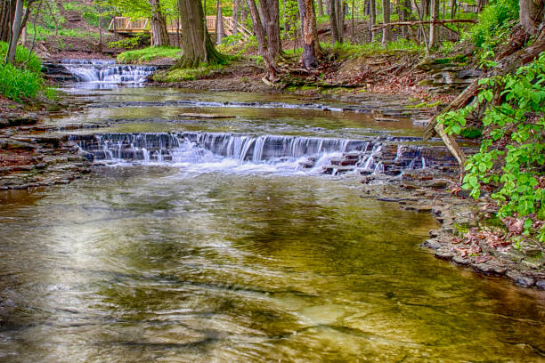 piccola cascata e ponte di legno: new york - ruscello foto e immagini stock