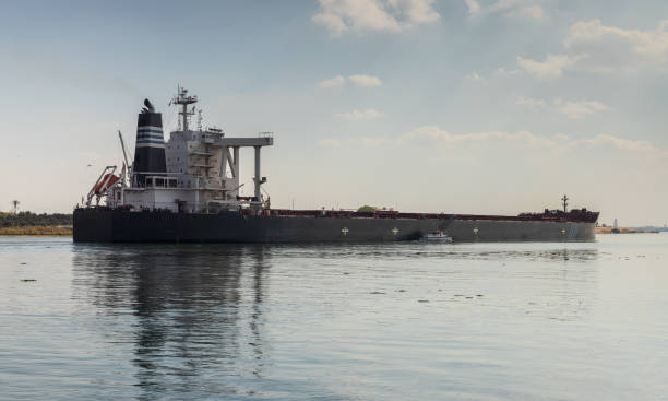 istock Cargo ship with black hull passes the Suez Canal 1363448602
