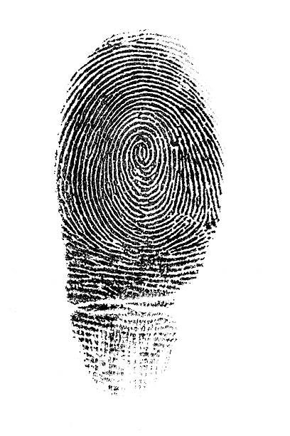istock A whorled fingerprint in black ink 136344878