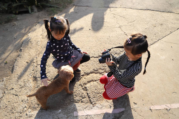 a smiling Asian girl touching and play a dog in  a manger.