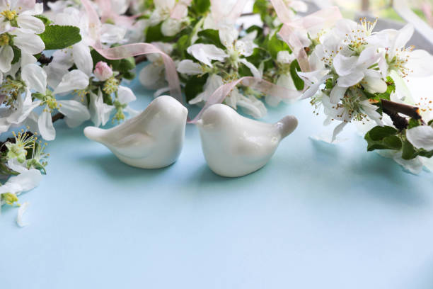 spring time. spring greeting card. flowering branches with white flowers and space for text